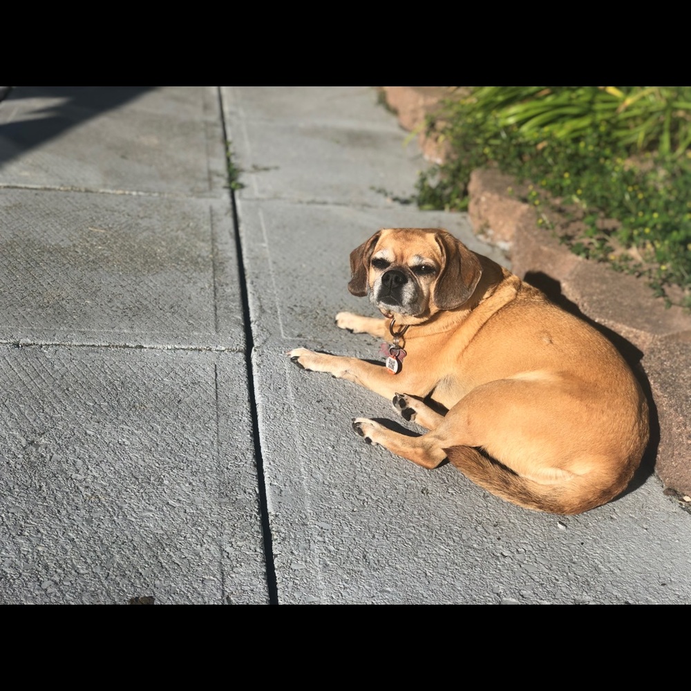 Meet your Posher, Jo-anne